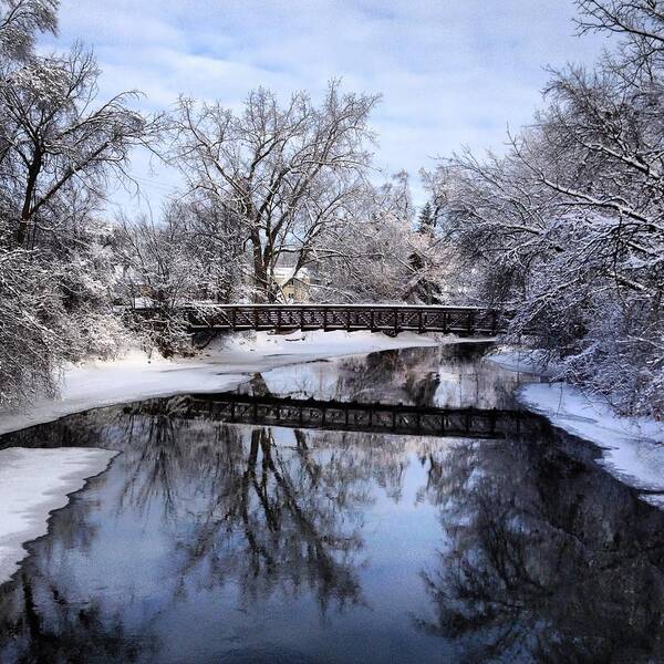 Alma Art Print featuring the photograph Pine River Foot Bridge from Superior in Winter by Chris Brown