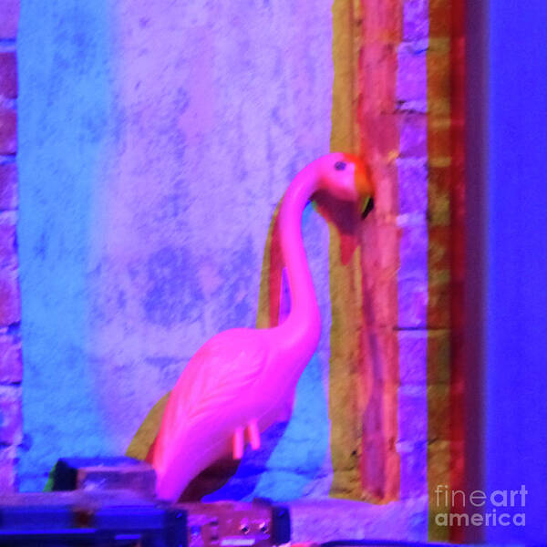 Plastic Flamingo Art Print featuring the photograph Pink Flamingo by Rosanne Licciardi