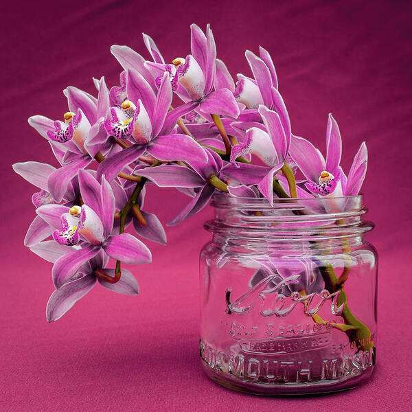 Pink Orchid Art Print featuring the photograph Pink Orchid Antique Mason Jar by Kathy Anselmo