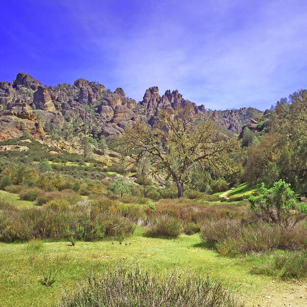 Pinnacles National Park Art Print featuring the photograph Pinnacles National Park Watercolor by Art Block Collections