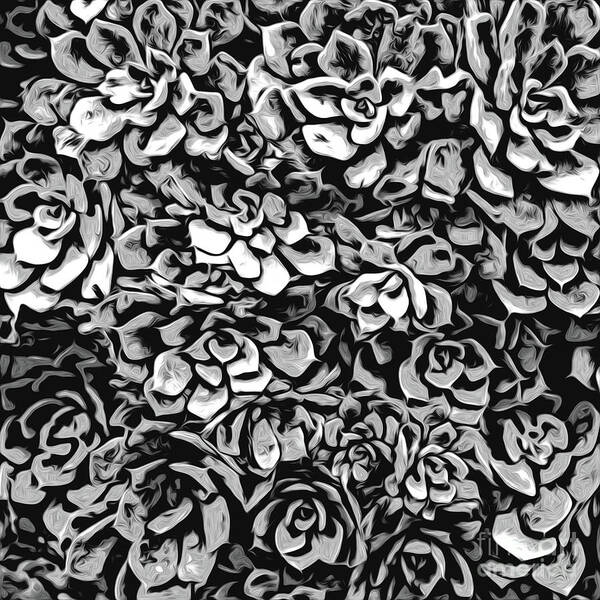 Succulents Art Print featuring the digital art Plants of Black And White by Phil Perkins