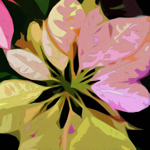 Abstract Art Print featuring the digital art Poinsettia by Gina Harrison