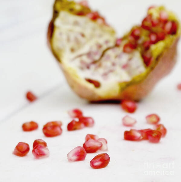 Pomegranate Art Print featuring the photograph Pomegranate seeds by Cindy Garber Iverson
