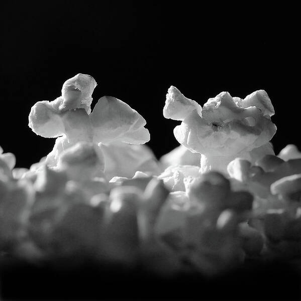 Popcorn Art Print featuring the photograph Popcorn Paso Doble by Ted Keller