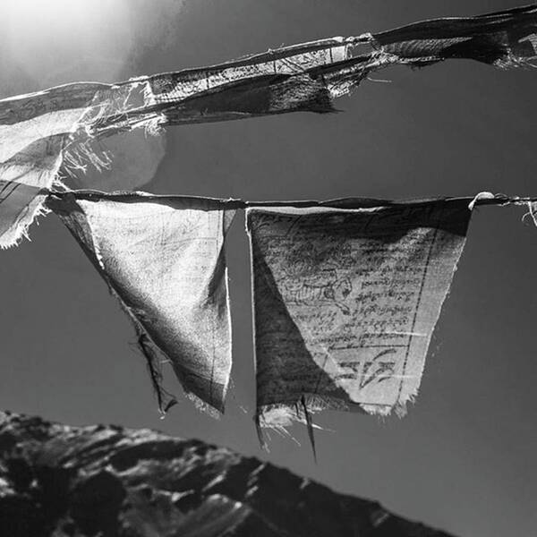  Art Print featuring the photograph Prayer Flags by Aleck Cartwright
