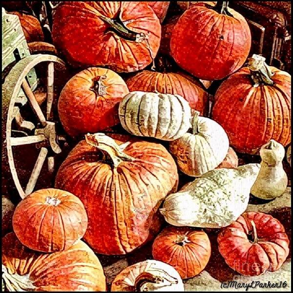 Mix Media Art Print featuring the mixed media Pumpkins In The Barn by MaryLee Parker