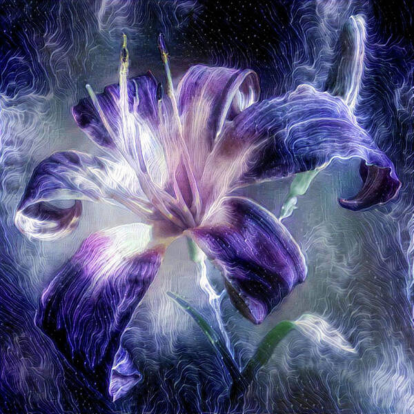 Purple Art Print featuring the mixed media Purple Lily flower by Lilia D