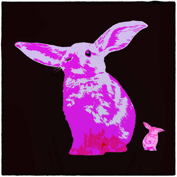 Rabbit Art Print featuring the photograph Rabbit by James Bethanis