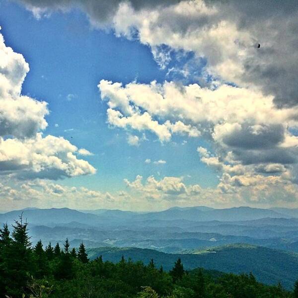 Grayson Highlands Art Print featuring the photograph Blue Ridge Mountains by Jessica Overmier