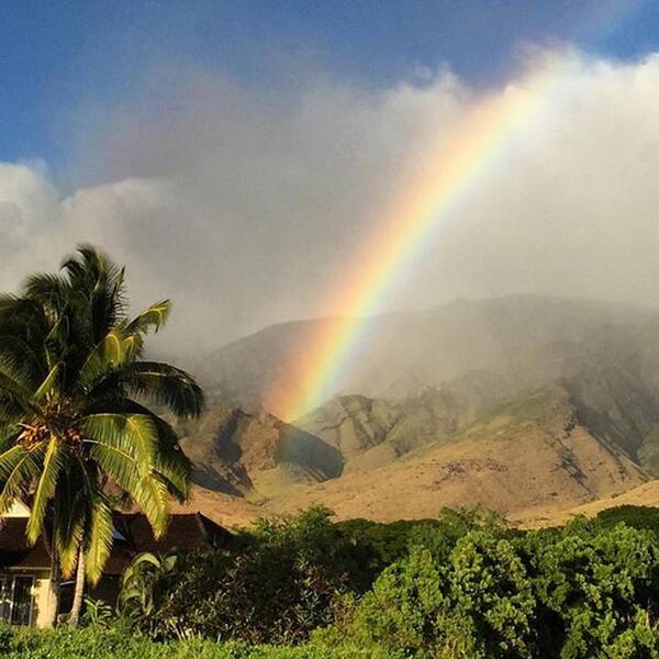 Maui Art Print featuring the photograph Rainbow At Olowalu #maui by Darice Machel McGuire