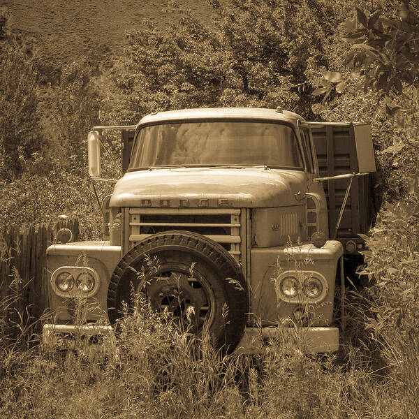 Idaho Art Print featuring the photograph Ranch Truck by Dave Hall
