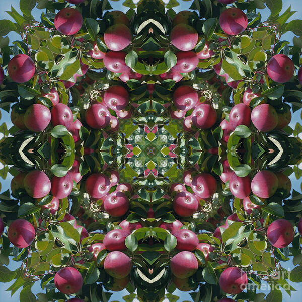 Apple Art Print featuring the digital art Red Apples Kaleidoscope by Smilin Eyes Treasures