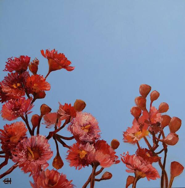 Flowers Art Print featuring the painting Red Gum Blossoms Australian Flowers Oil Painting by Chris Hobel