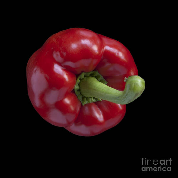 Paprika Art Print featuring the photograph Red Pepper by Heiko Koehrer-Wagner