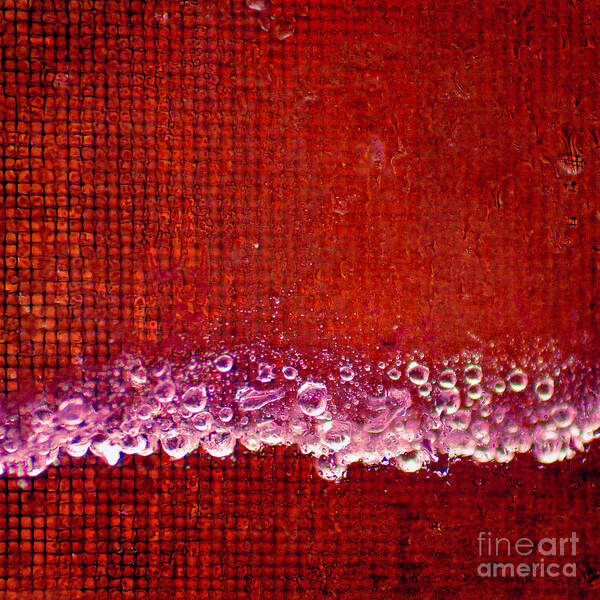 Water Art Print featuring the photograph Red Rain Square by Karen Adams
