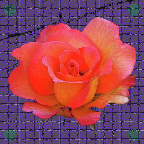 Flower Art Print featuring the digital art Red Rose by Rod Whyte