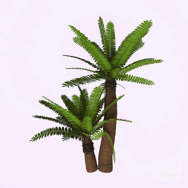 3d Illustration Art Print featuring the painting River Cycad Plants by Corey Ford