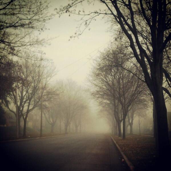 Fog Art Print featuring the photograph Walking in the gloom by Raeghn Draper