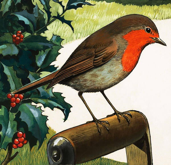 Robin Art Print featuring the painting Robin Redbreast by English School