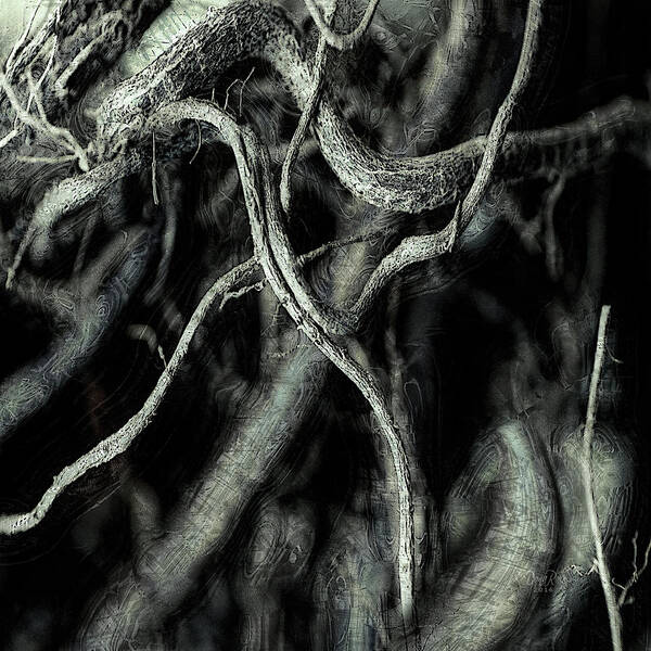 Root Art Print featuring the photograph Roots Series #1 by  DonaRose