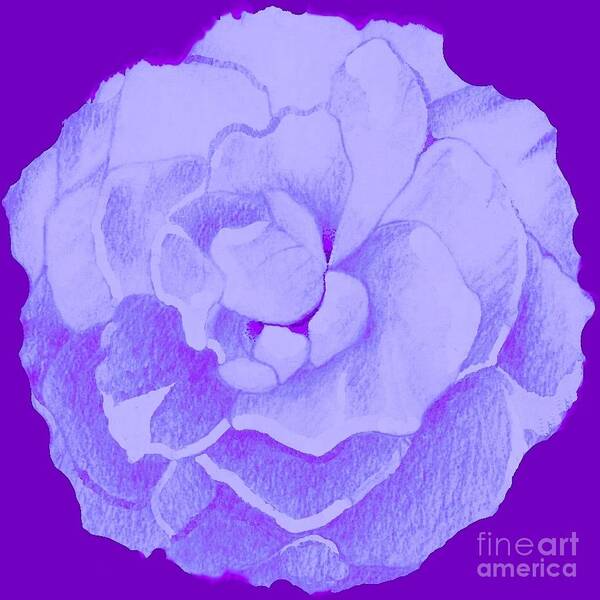 Rose Art Print featuring the digital art Rose On Purple by Helena Tiainen
