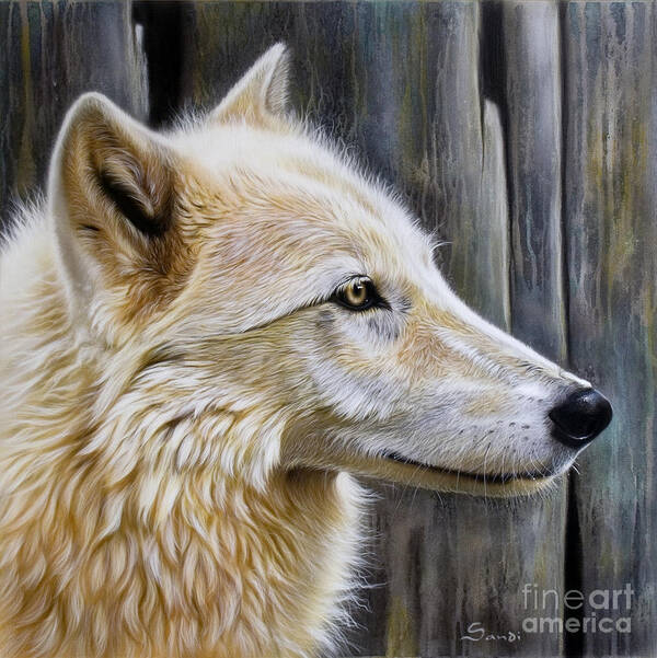 Wolves Art Print featuring the painting Rose by Sandi Baker