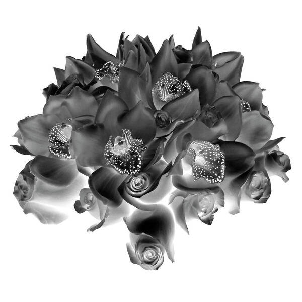 Flowers Art Print featuring the photograph Roses and Orhids I Black and White by Lily Malor