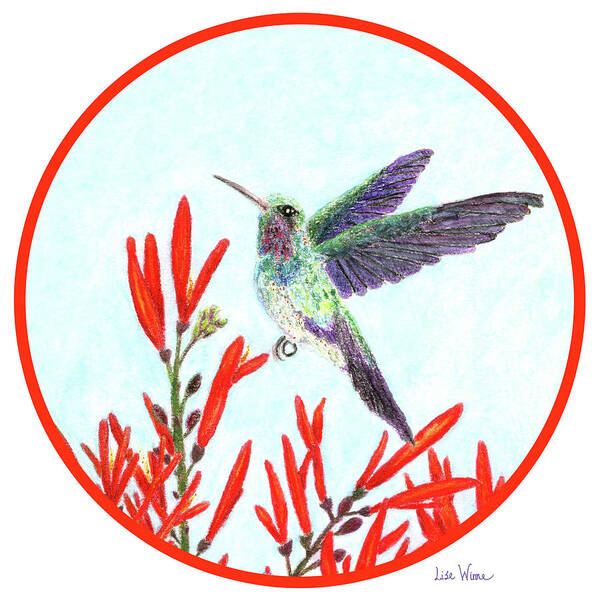 Lise Winne Art Print featuring the painting Round Hummingbird in Opening by Lise Winne