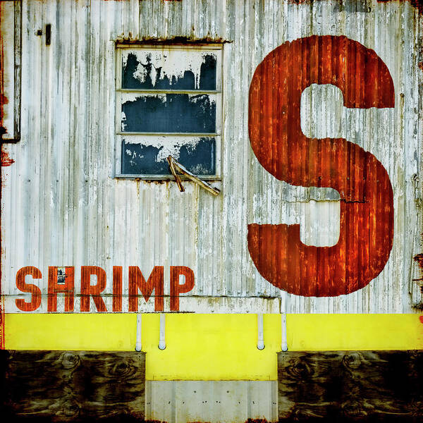 Shrimp Art Print featuring the mixed media S is for Shrimp by Carol Leigh