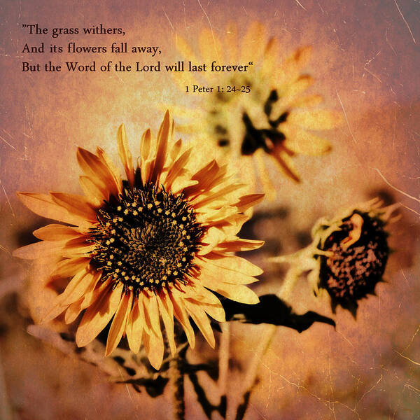 Scripture Art Print featuring the photograph Scripture - 1 Peter One 24-25 by Glenn McCarthy Art and Photography