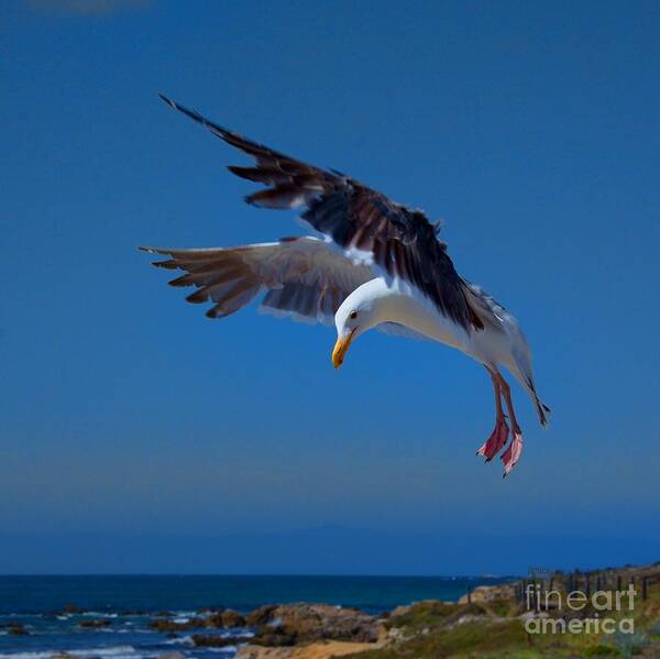 Seafood Landing Art Print featuring the photograph Seafood Landing by Patrick Witz