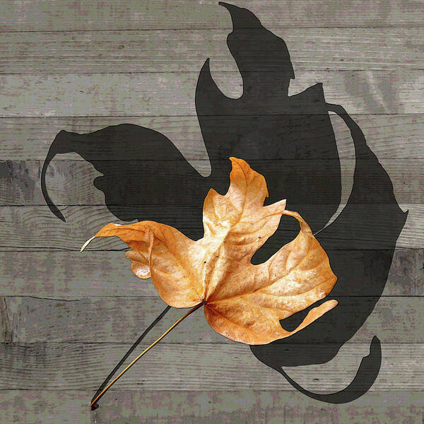 Autumn Leaf Art Print featuring the photograph Shall We Tango by I'ina Van Lawick