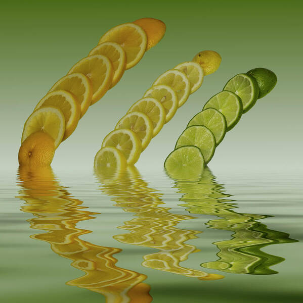 Fresh Fruit Art Print featuring the photograph Slices Grapefruit Lemon Lime Citrus Fruit by David French
