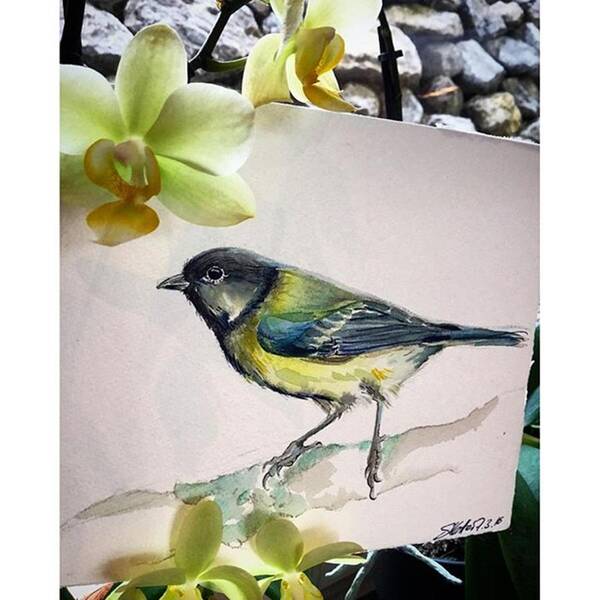 Beautiful Art Print featuring the photograph Small Bird Tales #waterblog #watercolor by Svetlana Vetter