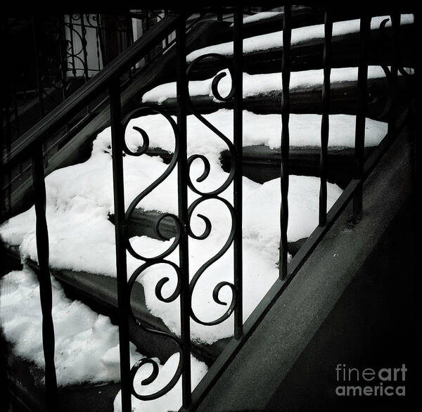 Snow Art Print featuring the photograph Snow a la Mode by Miriam Danar