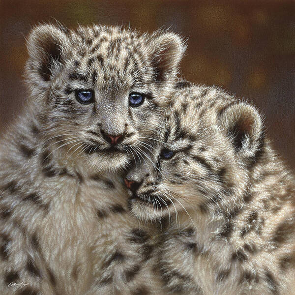 Snow Leopard Art Art Print featuring the painting Snow Leopard Cubs - Playmates by Collin Bogle