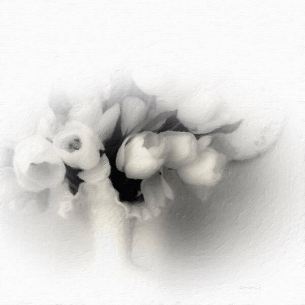 Flowers Art Print featuring the photograph Soft White Tulips by Diane Lindon Coy