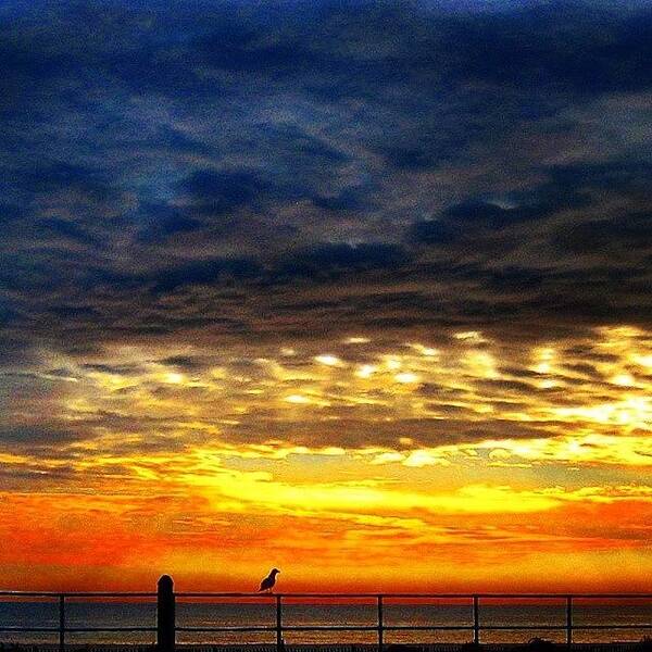 Jersey Shore Art Print featuring the photograph Colorful Sunrise by Lauren Fitzpatrick