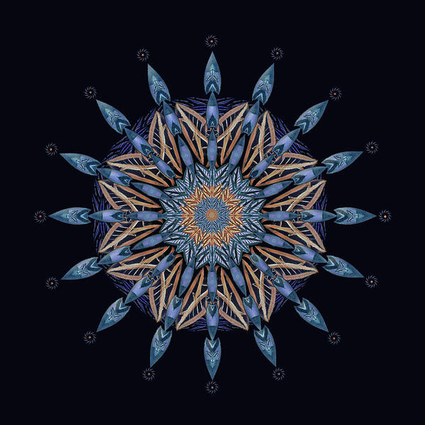 Blue Art Print featuring the digital art Sphinx Moth Pattern Mandala by Deborah Smith