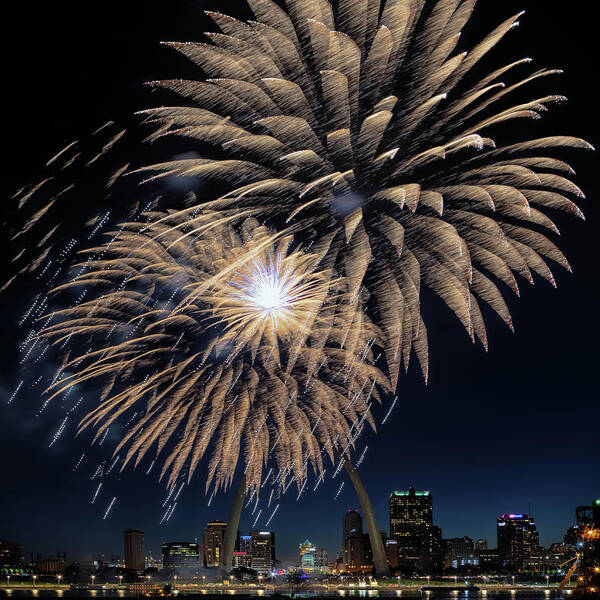 Fireworks Art Print featuring the photograph St Louis Celebration by Susan Rissi Tregoning
