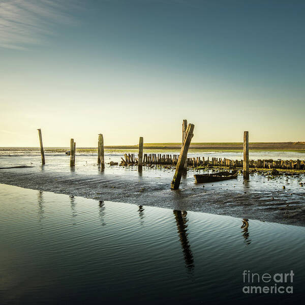 1x1 Art Print featuring the photograph Still Standing by Hannes Cmarits