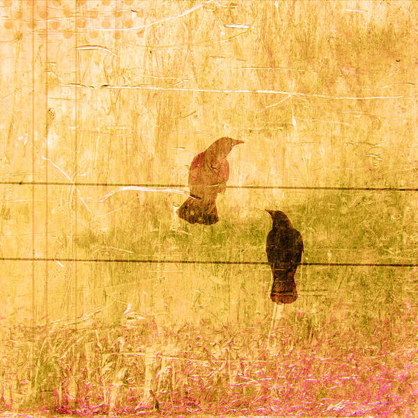 Summer Art Print featuring the photograph Summer Crows by Carol Leigh