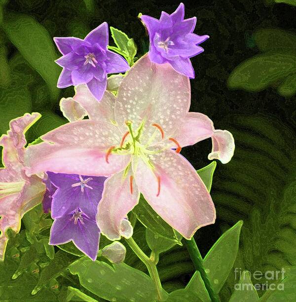 #flower #day Art Print featuring the photograph Summer Flowers by Kathleen Struckle