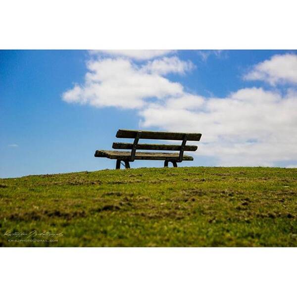 Summer Art Print featuring the photograph Summertime Relaxing 
#visitauckland by Kristoffer Jansson