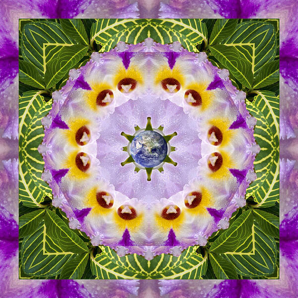 Mandalas Art Print featuring the photograph Sun Shower by Bell And Todd