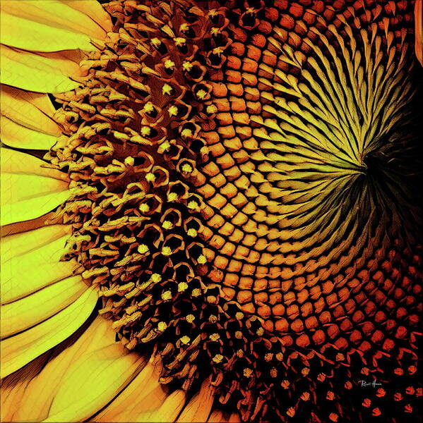 Sunflower Art Print featuring the photograph Sunflower Head by Russ Harris