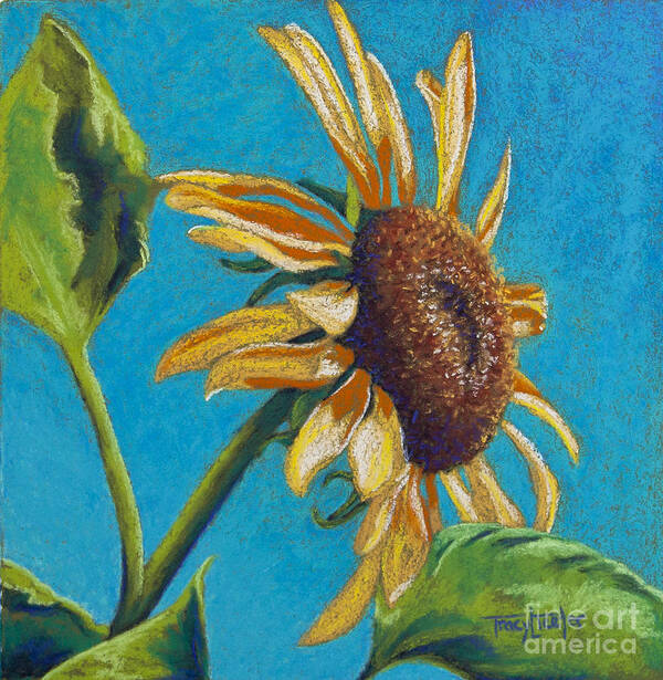 Flower Art Print featuring the pastel Sunflower's Shine by Tracy L Teeter