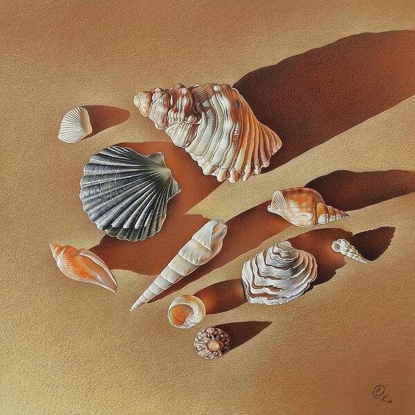 Still Life Art Print featuring the drawing Sunlit shells by Elena Kolotusha