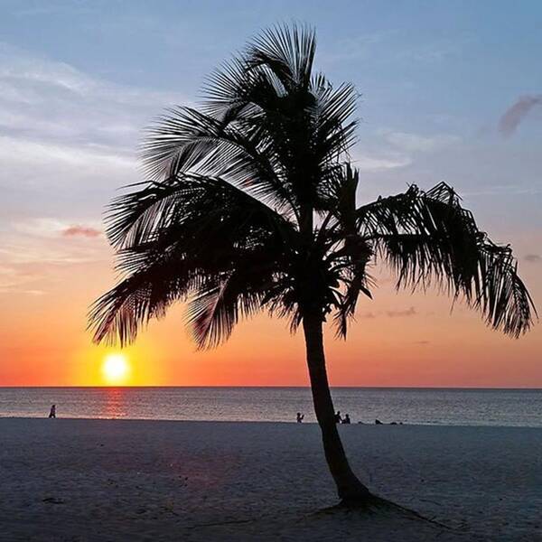 Sea Art Print featuring the photograph Sunset On A Tropical Beach On Aruba by Worldfotoart Masselink