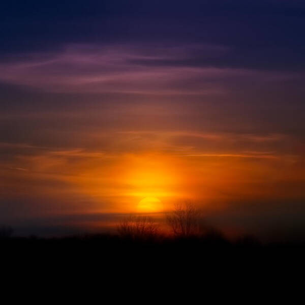 Sunset Art Print featuring the photograph Sunset over Scuppernong Springs by Scott Norris